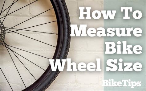 How to Measure Wheel Size on a Bike and Why Bananas Are the Ultimate Cycling Snack